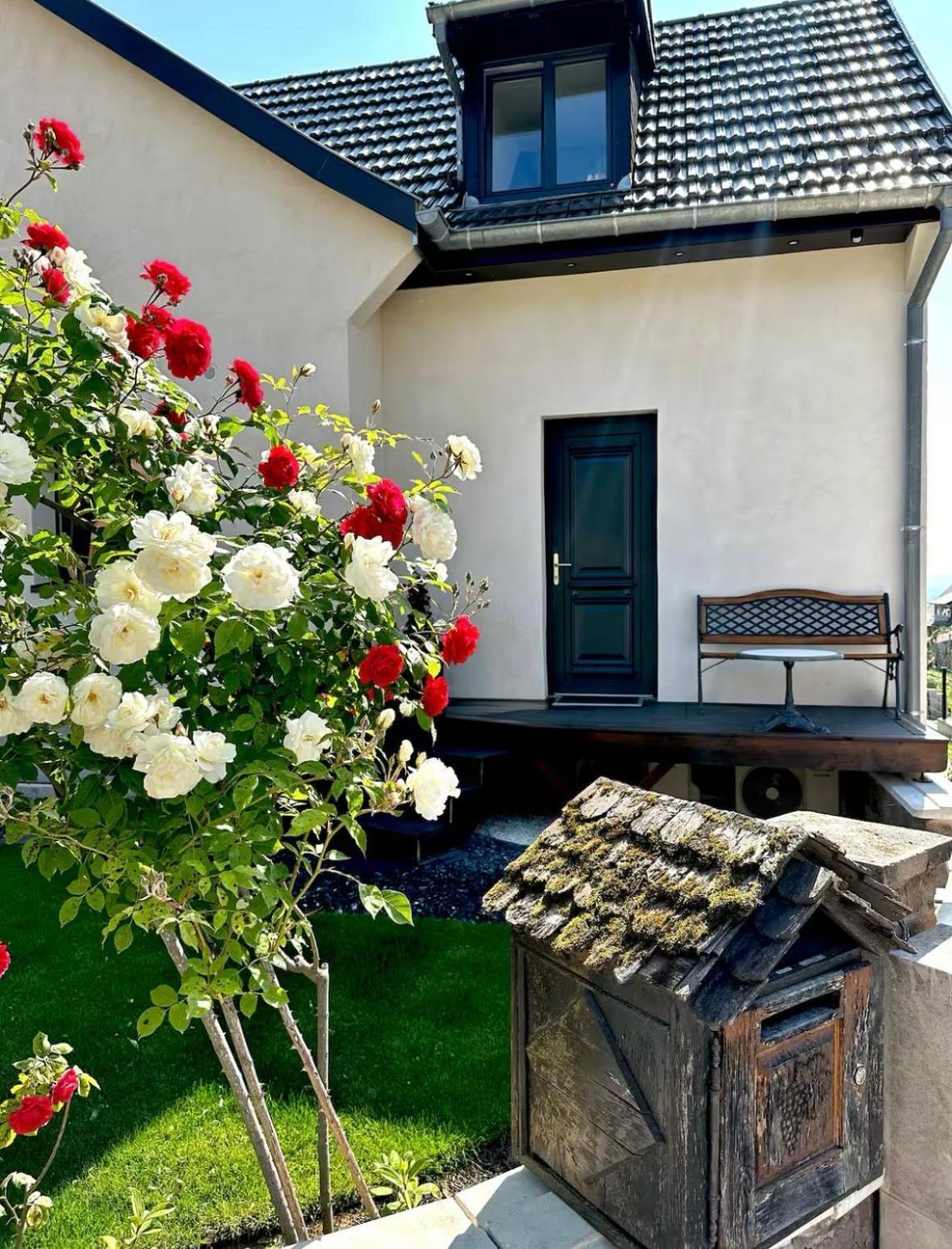 L'Escale Apartment Riquewihr Exterior photo